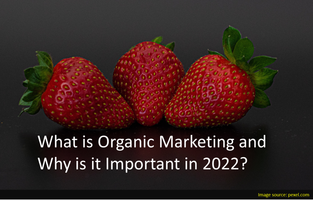 What is organic marketing and why it is important for B2B startups
